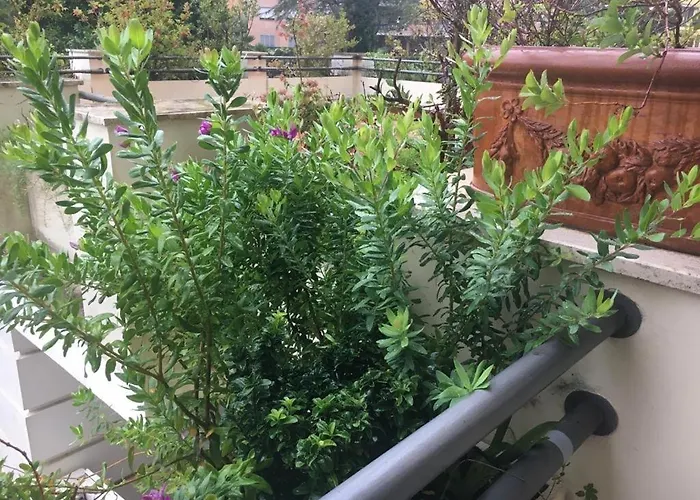 Appartement Da Sogno Piscina Farnesina - Policlinico Gemelli Rome